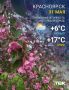 ������ �� �������. ���� +17 ��� � MAX | Telegram | ��