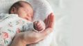 Семейная традиция: родители из Норильска дали ребёнку своё имя