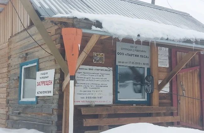 В Красноярске 56 работников лесозаготовительной компании почти год не получали зарплату — долг 10 млн рублей