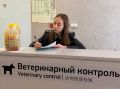 В аэропорту Красноярска сожгли 64 кг зарубежного мяса, рыбы и молока