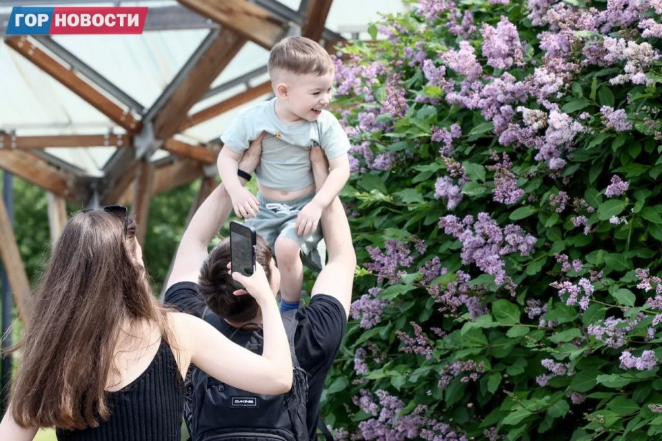 В большом Красноярске откроют четыре новых общественных пространства