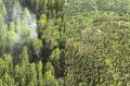 В Красноярском крае горят 258 гектаров леса