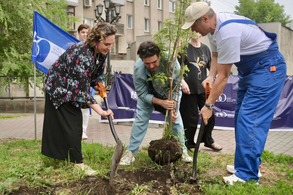 Рябины в честь 150-летия СТД: в Красноярске появилась Театральная аллея Рябины в честь 150-летия СТД: в Красноярске появилась Театральная аллея