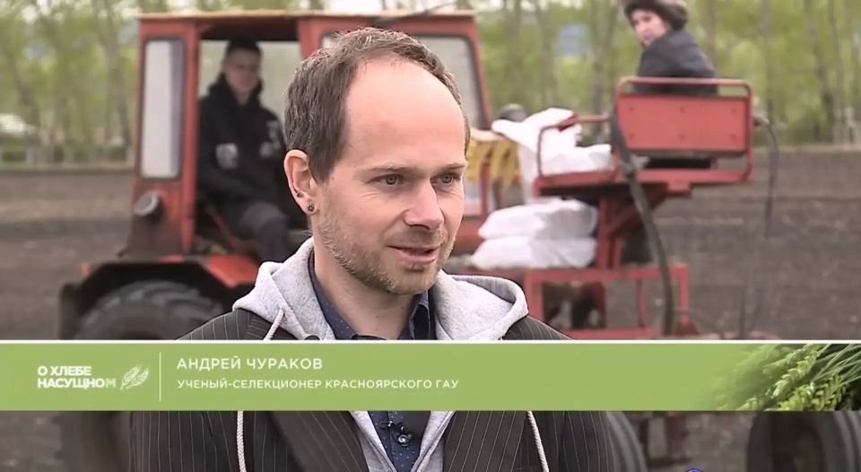Красноярские аграрии завершают весеннюю посевную кампанию, сохранив стратегические площади на уровне прошлого года - 1 миллион 400 тысяч гектаров