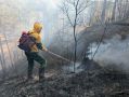 Лес – это наше общее богатство, и его сохранение зависит от каждого из нас