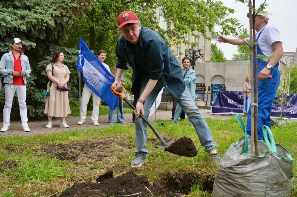 Рябины в честь 150-летия СТД: в Красноярске появилась Театральная аллея Рябины в честь 150-летия СТД: в Красноярске появилась Театральная аллея