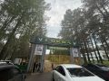 Массовое отравление произошло в красноярском лагере "Сокол"