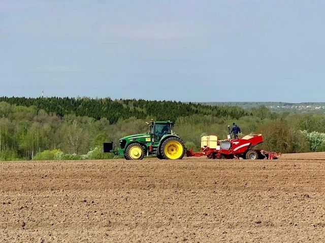 Красноярский край занимает первое место в СФО по урожаю картофеля