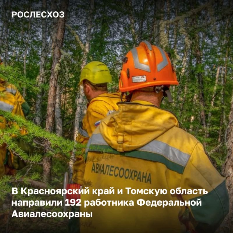 На 11:00 мск 10 июня в России на землях лесного фонда тушат 82 лесных пожара на площади 8,3 тыс