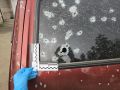 � ������������ ���� ������� ��������� �������� �� ������� ������