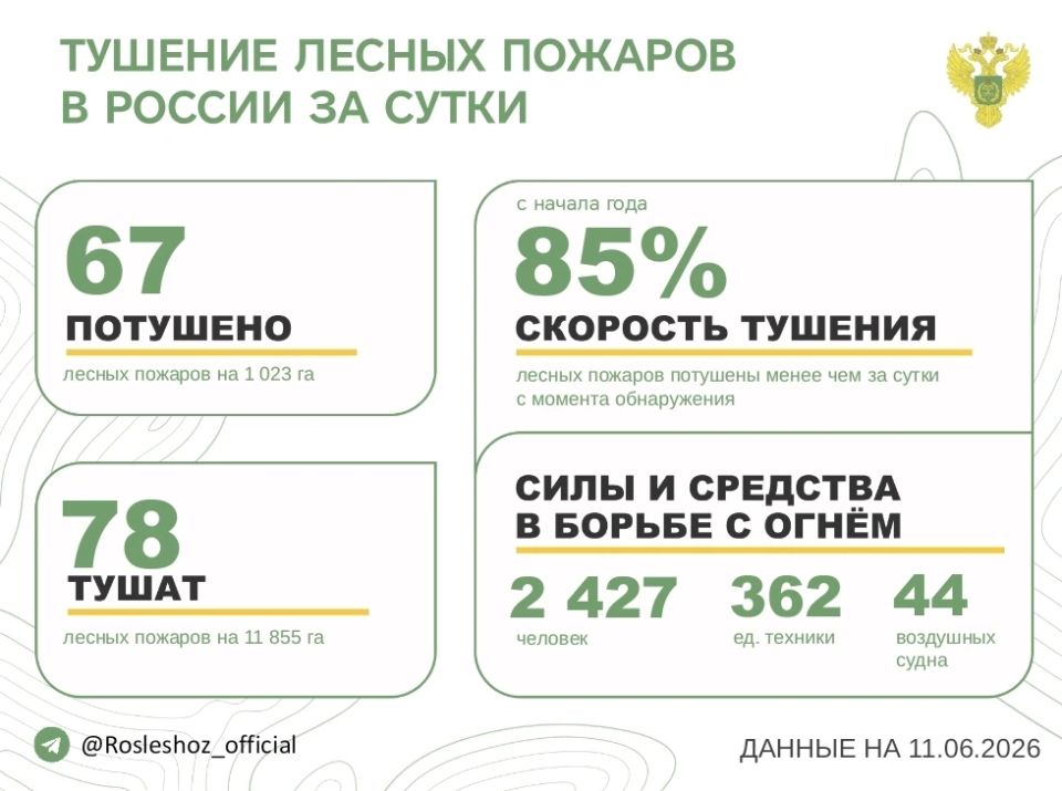 За прошедшие сутки в 15 регионах России потушили 67 лесных пожаров