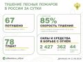За прошедшие сутки в 15 регионах России потушили 67 лесных пожаров