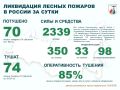 За прошедшие сутки в России потушены 70 лесных пожаров в 19 регионах