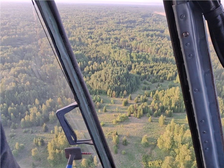 нескольких десятках километров от Енисейска деревья причудливым образом выросли ровно по кругу в два яруса нескольких десятках километров от Енисейска деревья причудливым образом выросли ровно по кругу в два яруса