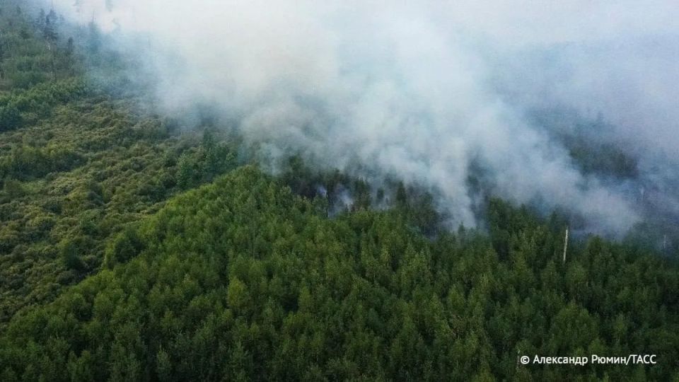 Площадь лесных пожаров в Красноярском крае за сутки увеличилась почти вдвое и составила 30,3 тыс