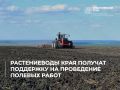 Растениеводы Красноярского края получат поддержку на проведение полевых работ