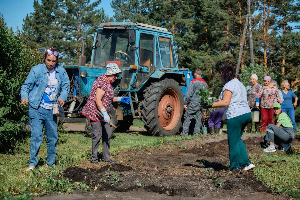 В Бородино высадили тысячу цветов на кольце улиц Гоголя и 9 Мая В Бородино высадили тысячу цветов на кольце улиц Гоголя и 9 Мая