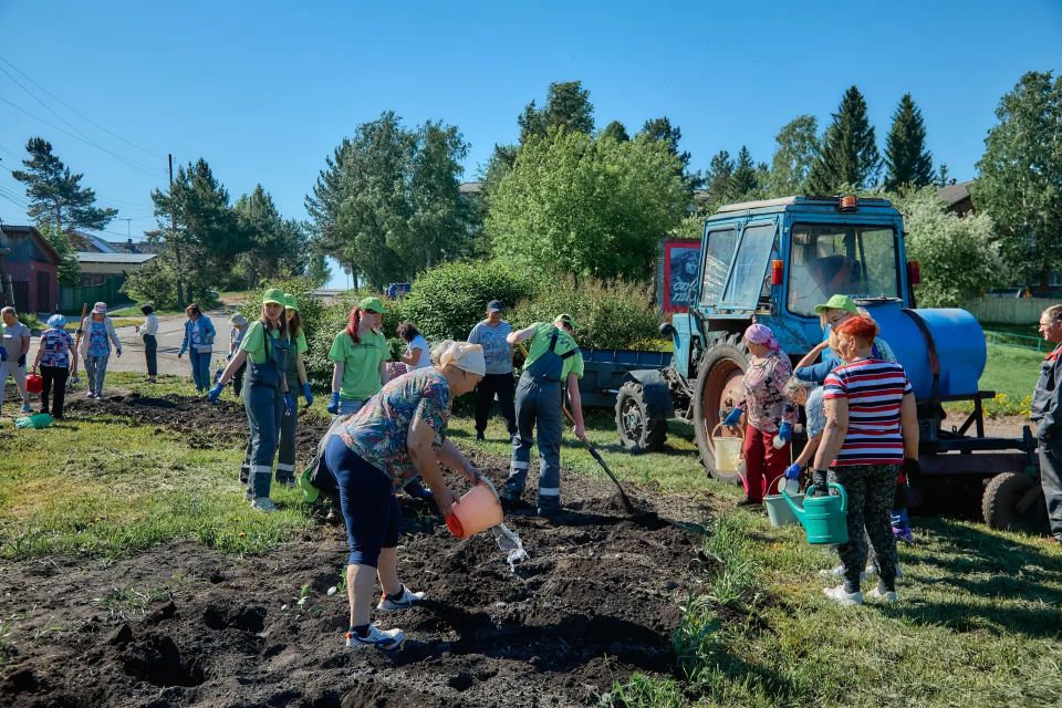 В Бородино высадили тысячу цветов на кольце улиц Гоголя и 9 Мая В Бородино высадили тысячу цветов на кольце улиц Гоголя и 9 Мая