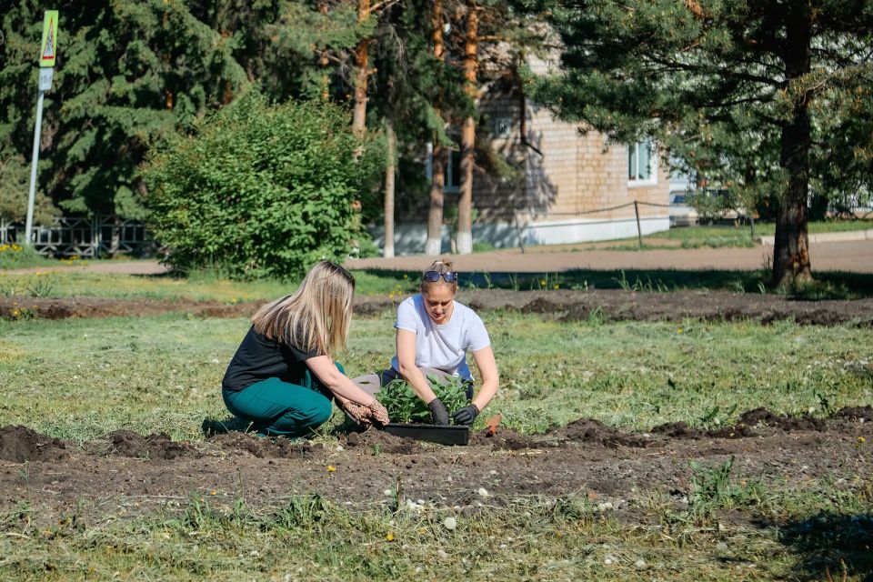 В Бородино высадили тысячу цветов на кольце улиц Гоголя и 9 Мая В Бородино высадили тысячу цветов на кольце улиц Гоголя и 9 Мая