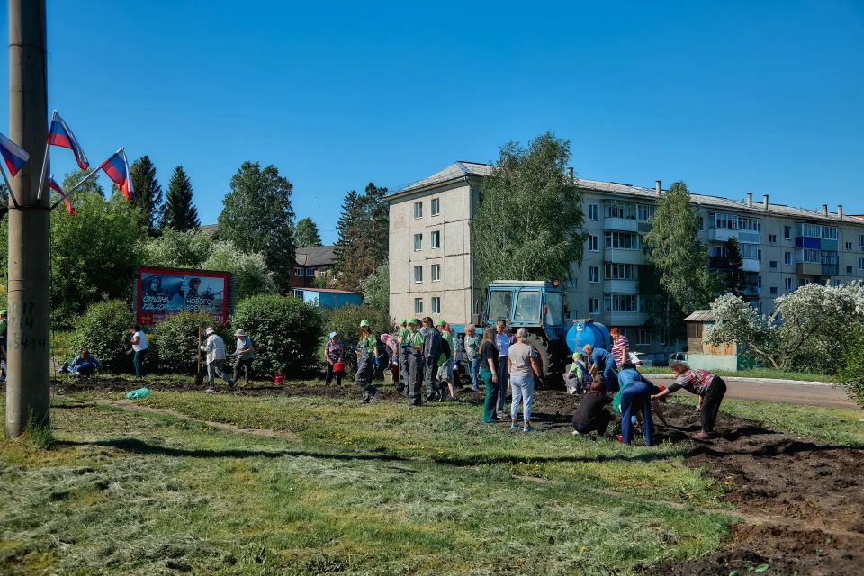 В Бородино высадили тысячу цветов на кольце улиц Гоголя и 9 Мая В Бородино высадили тысячу цветов на кольце улиц Гоголя и 9 Мая