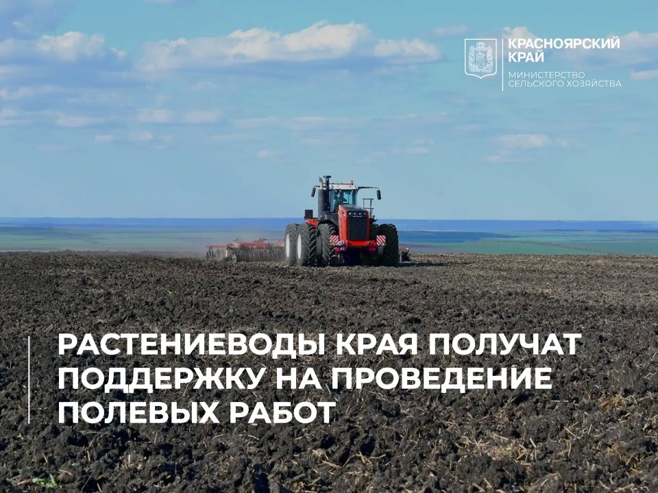 Растениеводы Красноярского края получат поддержку на проведение полевых работ