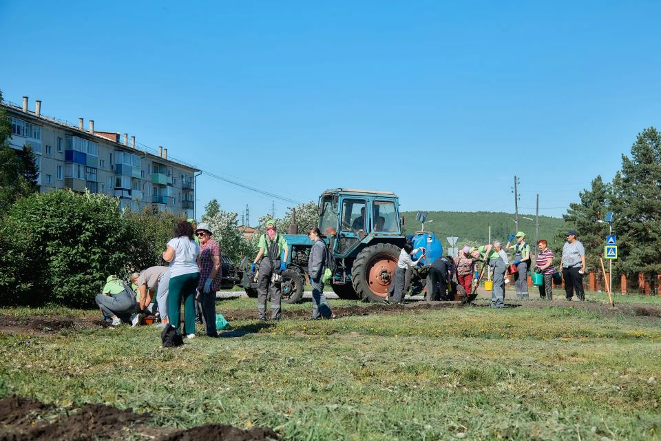 В Бородино высадили тысячу цветов на кольце улиц Гоголя и 9 Мая В Бородино высадили тысячу цветов на кольце улиц Гоголя и 9 Мая