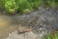 � ������������ ����������� ��������� ��� ���������� �������� ����� ������ ����� ��������� � 30-������������� ������ �� ����������� �����
