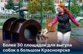 В Красноярске появится еще 6 площадок для выгула собак