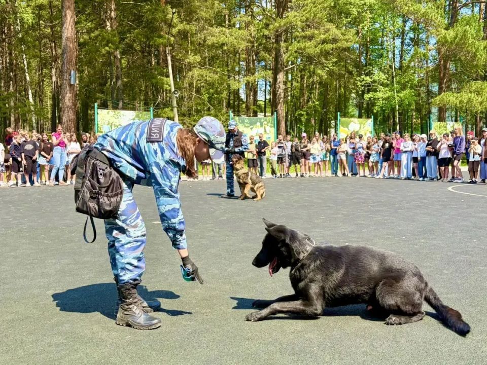 Увлекательное знакомство с профессией: ачинские полицейские «покорили» «соколят»! Увлекательное знакомство с профессией: ачинские полицейские «покорили» «соколят»!
