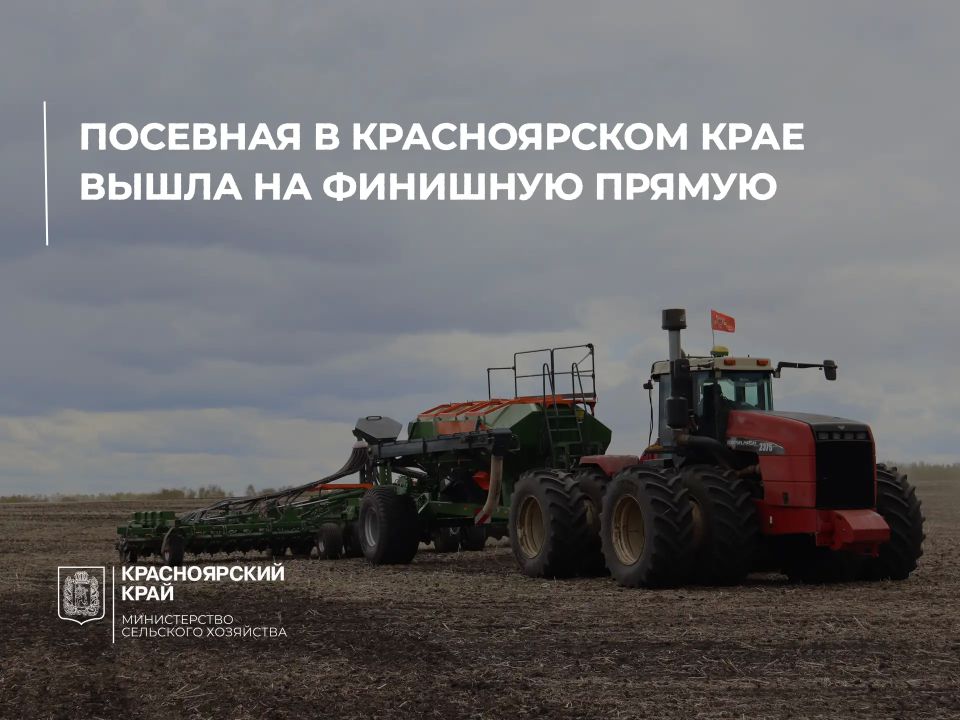Посевная в Красноярском крае вышла на финишную прямую