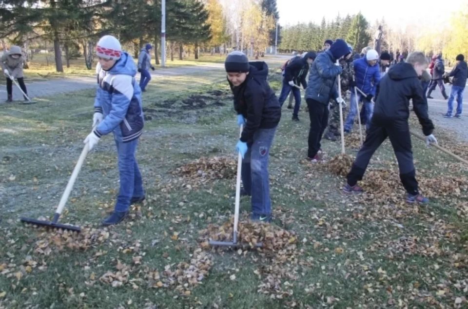 Живые датчики. Как на загрязнение реагирует городская среда