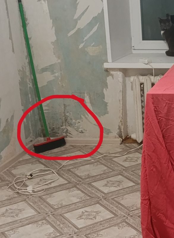 Как справиться с плесенью в комнате: практическое руководство