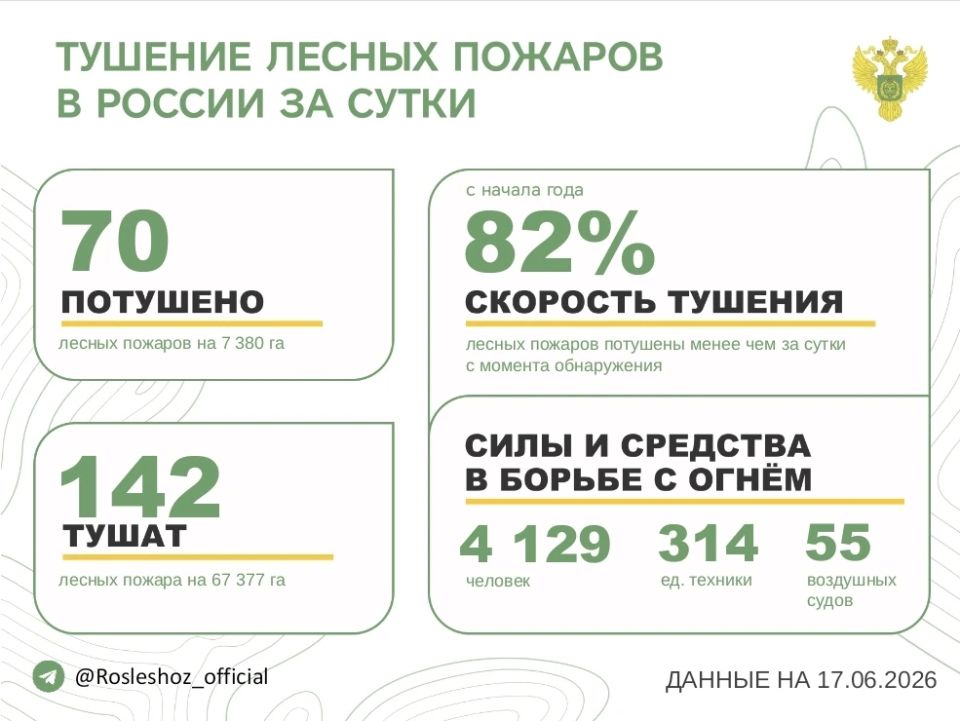 За прошедшие сутки в 17 регионах России потушили 70 лесных пожаров