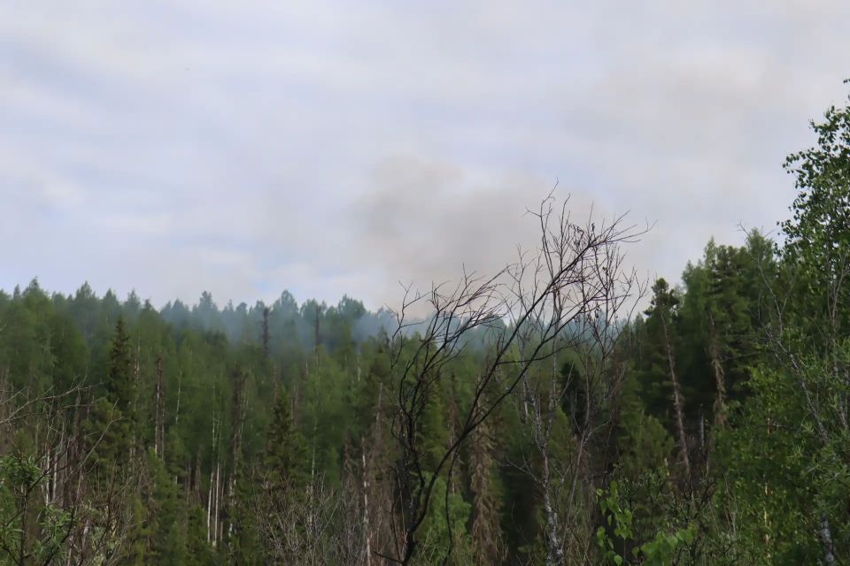 Отвоевали у огня!. Лесные пожарные ликвидировали несколько крупных лесных пожаров в Енисейском округе Отвоевали у огня!. Лесные пожарные ликвидировали несколько крупных лесных пожаров в Енисейском округе