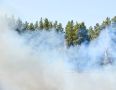 Самая сложная ситуация с лесными пожарами в июне в Сибирском федеральном округе сложилась на севере Красноярского края