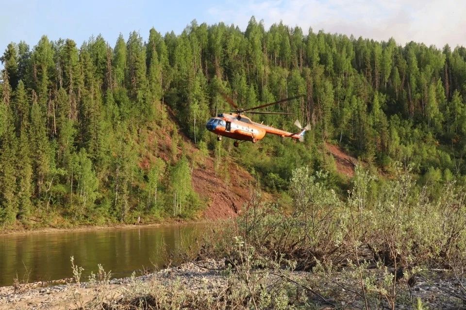 Площадь лесных пожаров в Красноярском крае увеличилась до 83,6 тысячи га