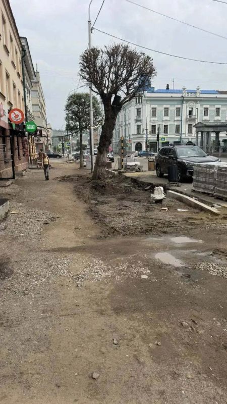 На улице Кирова в Красноярске уберут еще три сухих дерева На улице Кирова в Красноярске уберут еще три сухих дерева