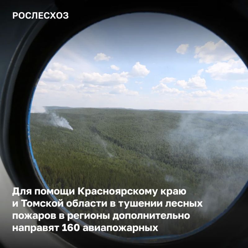 Помощь в стабилизации лесопожарной обстановки в Красноярском крае и Томской области уже задействовано 564 специалиста федеральных и региональных сил