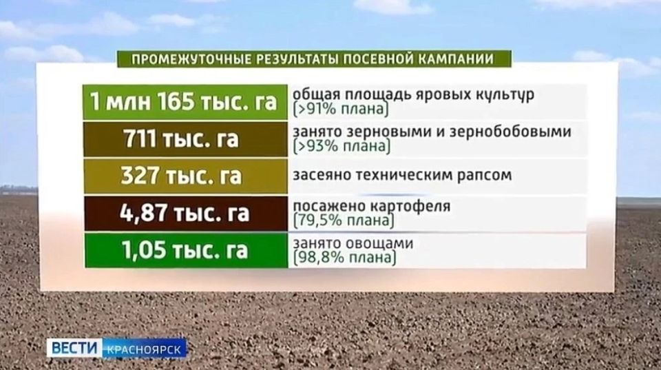 Посевная в Красноярском крае вышла на финишную прямую