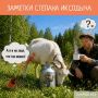 Красноярцам рассказали об опасности парного молока