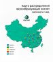 Чайный калейдоскоп: новинки и открытия в мире чая