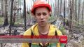 «ГРОЗОВОЙ ПЕРЕВАЛ»: В КРАЕ ДЕЙСТВОВАЛ НМУ ИЗ-ЗА ЛЕСНЫХ ПОЖАРОВ