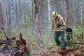 На север края направляются дополнительные силы профессиональных лесных пожарных для тушения возгораний