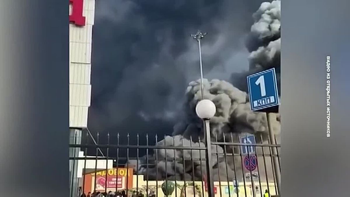 ГРИМАСЫ УКРАИНСКОГО ТЕРРОРИЗМА