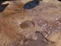 Наступил самый длинный день в году