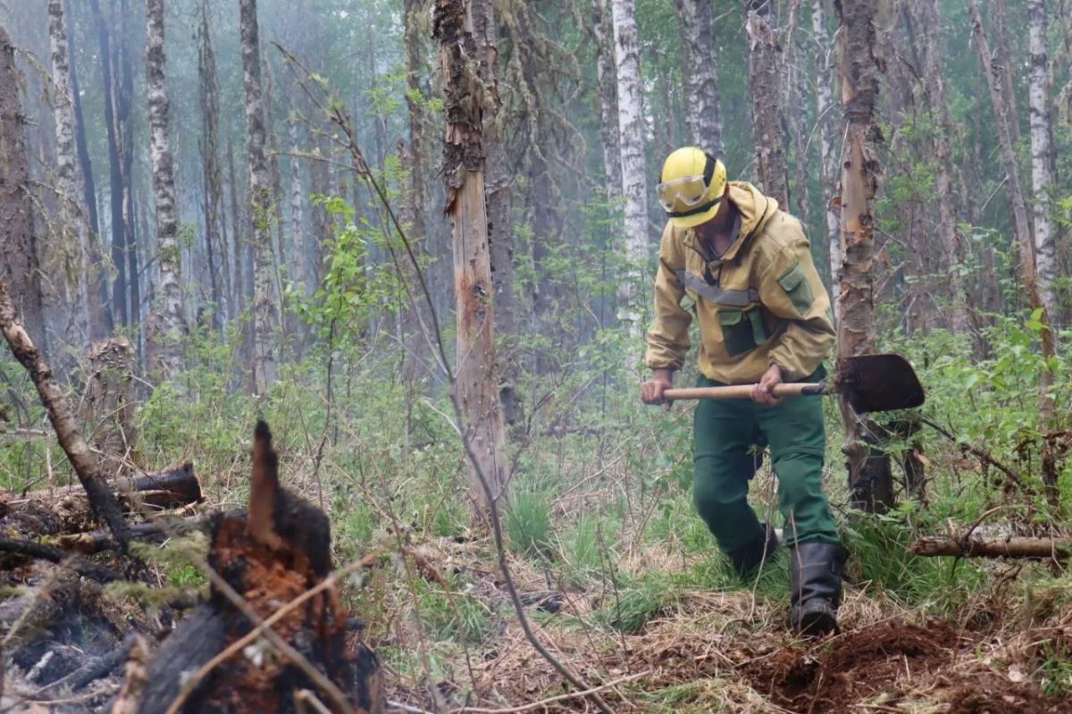 На севере Красноярского края усиливают борьбу с лесными пожарами
