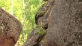 Хрустящие енисейские камешки, которые можно есть! Именно такими угощали наших гостей из программы «Доброе утро