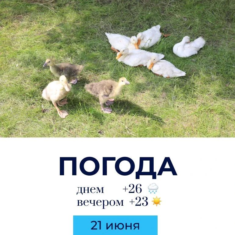 Погода на сегодня