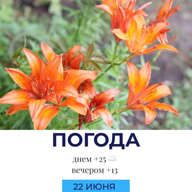 Погода на сегодня