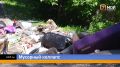 Новое природное явление зафиксировали в Красноярске — мусорное торнадо